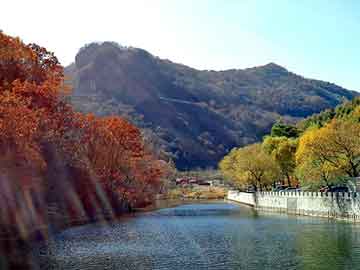 正版澳门天天开彩大全，石油树脂厂家